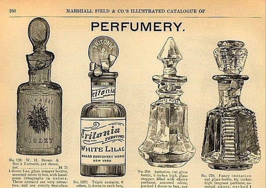 Parfüm Nasıl Bulundu? Kokunun Binlerce Yıllık Hikâyesi-No.339