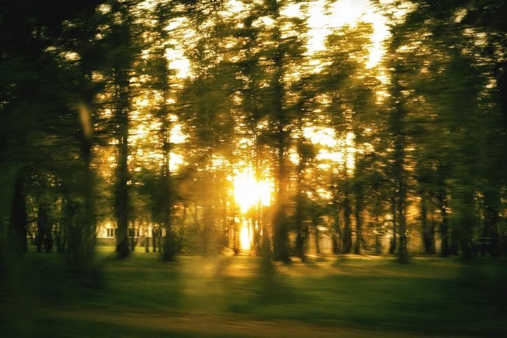 İmza Parfüm Nedir? Kendi Kokunu Bulmanı Hikâyesi-No.339