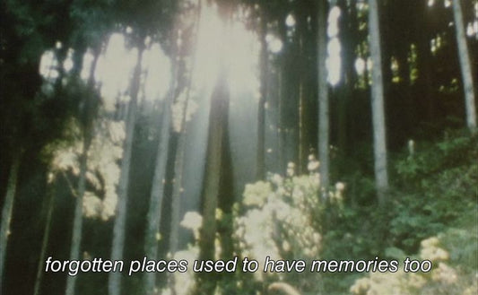 Koku Hafızası & Anılar ve Parfümler – No.339